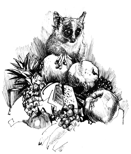 Иллюстрация к книге — Зоопарки [i_012.jpg]