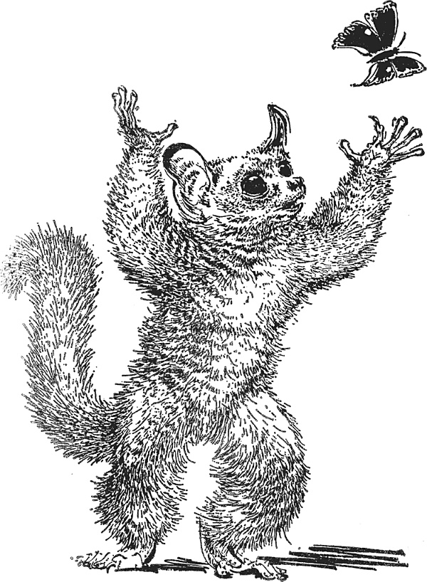 Иллюстрация к книге — Зоопарк в моем багаже [zooinmyluggage_001_imgx.jpg]