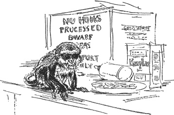 Иллюстрация к книге — Зоопарк в моем багаже [zooinmyluggage_005_imgx.jpg]