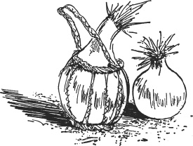 Иллюстрация к книге — Зоопарк в моем багаже [zooinmyluggage_010_imgx.jpg]