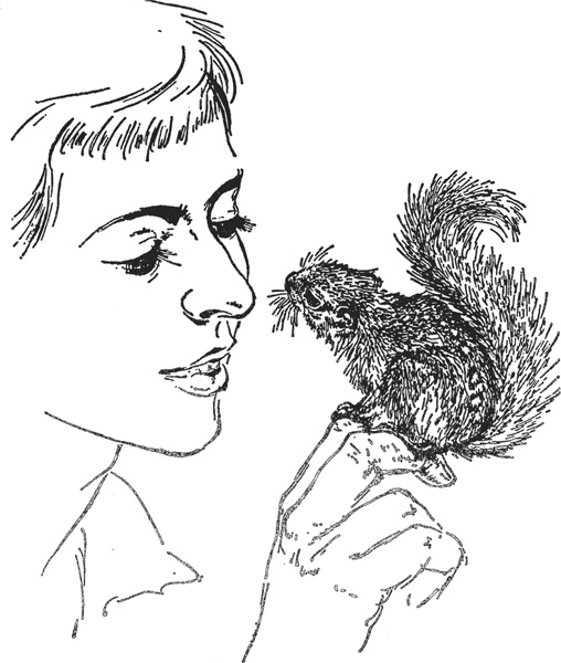 Иллюстрация к книге — Зоопарк в моем багаже [zooinmyluggage_022_imgx.jpg]