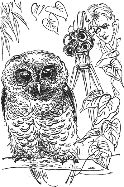 Иллюстрация к книге — Зоопарк в моем багаже [zooinmyluggage_027_imgx.jpg]