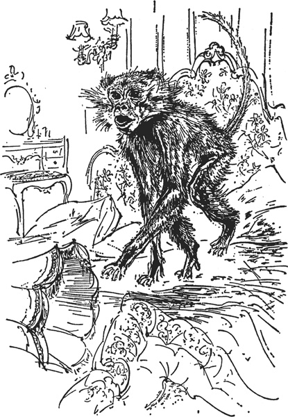 Иллюстрация к книге — Зоопарк в моем багаже [zooinmyluggage_042_imgx.jpg]