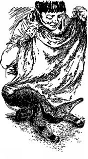 Иллюстрация к книге — Мясной рулет. Встречи с животными [pic_11.jpg]