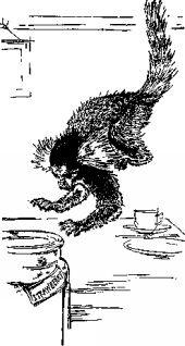 Иллюстрация к книге — Мясной рулет. Встречи с животными [pic_12.jpg]