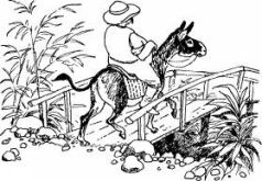 Иллюстрация к книге — Ослокрады [pic11.jpg]