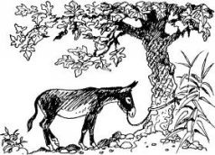 Иллюстрация к книге — Ослокрады [pic14.jpg]