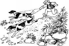 Иллюстрация к книге — Ослокрады [pic22.jpg]