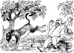 Иллюстрация к книге — Ослокрады [pic26.jpg]