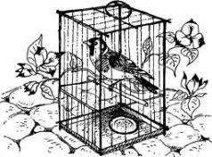 Иллюстрация к книге — Ослокрады [pic4.jpg]