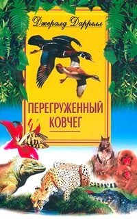Иллюстрация к книге — Перегруженный ковчег [kovcheg.jpg]