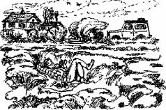 Иллюстрация к книге — Пикник и прочие безобразия [pic_10.jpg]