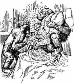 Иллюстрация к книге — Поймайте мне колобуса [pic2.jpg]