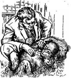 Иллюстрация к книге — Поймайте мне колобуса [pic23.jpg]