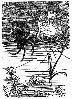 Иллюстрация к книге — По всему свету [sc1622.jpg]