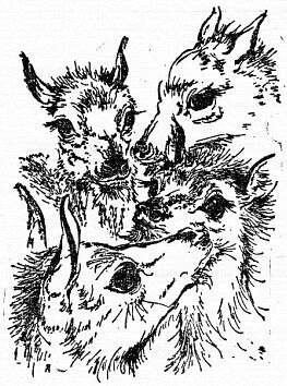 Иллюстрация к книге — По всему свету [sc1822.jpg]