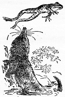 Иллюстрация к книге — По всему свету [sc2022.jpg]