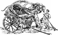 Иллюстрация к книге — Рози - моя родня [pic10.jpg]