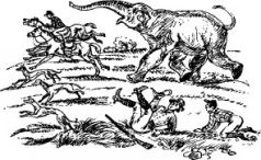 Иллюстрация к книге — Рози - моя родня [pic12.jpg]