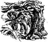 Иллюстрация к книге — Рози - моя родня [pic15.jpg]