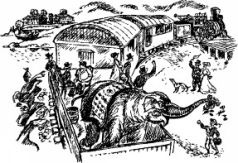 Иллюстрация к книге — Рози - моя родня [pic46.jpg]