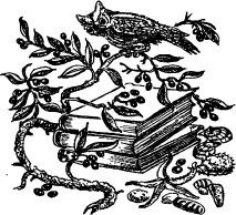 Иллюстрация к книге — Рози - моя родня [pic49.jpg]