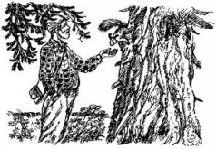 Иллюстрация к книге — Филе из палтуса [pic14.jpg]