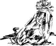 Иллюстрация к книге — Филе из палтуса [pic15.jpg]