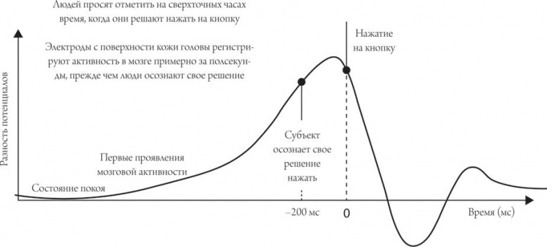 Иллюстрация к книге — Мозг и сознание [i_005.jpg]
