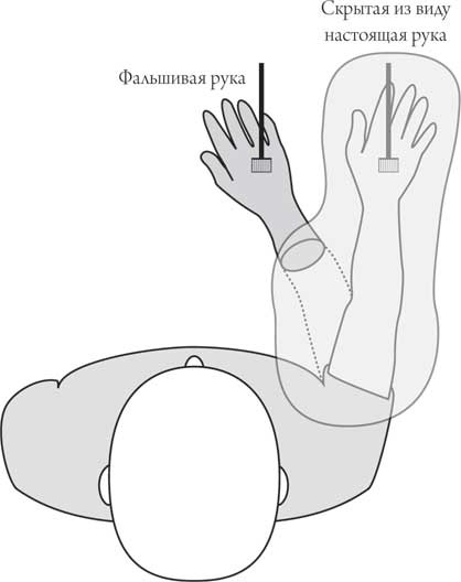 Иллюстрация к книге — Мозг и сознание [i_009.jpg]