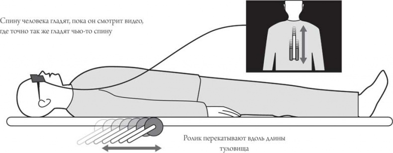 Иллюстрация к книге — Мозг и сознание [i_010.jpg]