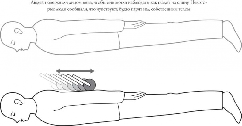 Иллюстрация к книге — Мозг и сознание [i_011.jpg]