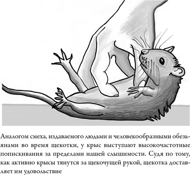 Иллюстрация к книге — Последнее объятие Мамы [i_010.jpg]