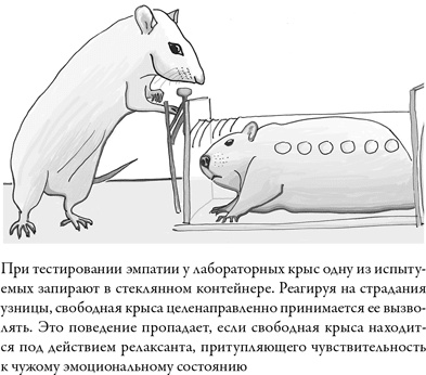 Иллюстрация к книге — Последнее объятие Мамы [i_012.jpg]