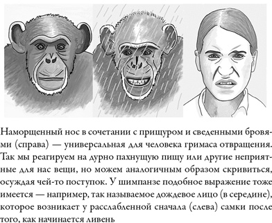 Иллюстрация к книге — Последнее объятие Мамы [i_013.jpg]