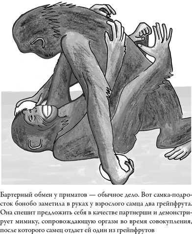 Иллюстрация к книге — Последнее объятие Мамы [i_014.jpg]