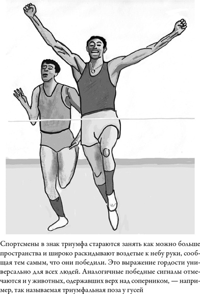 Иллюстрация к книге — Последнее объятие Мамы [i_015.jpg]