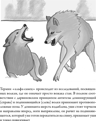 Иллюстрация к книге — Последнее объятие Мамы [i_017.jpg]