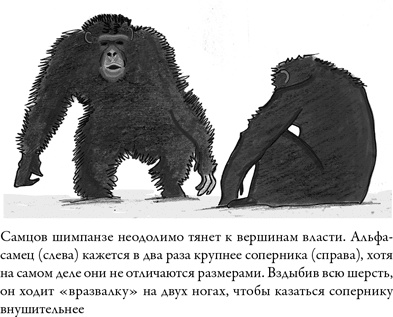 Иллюстрация к книге — Последнее объятие Мамы [i_018.jpg]