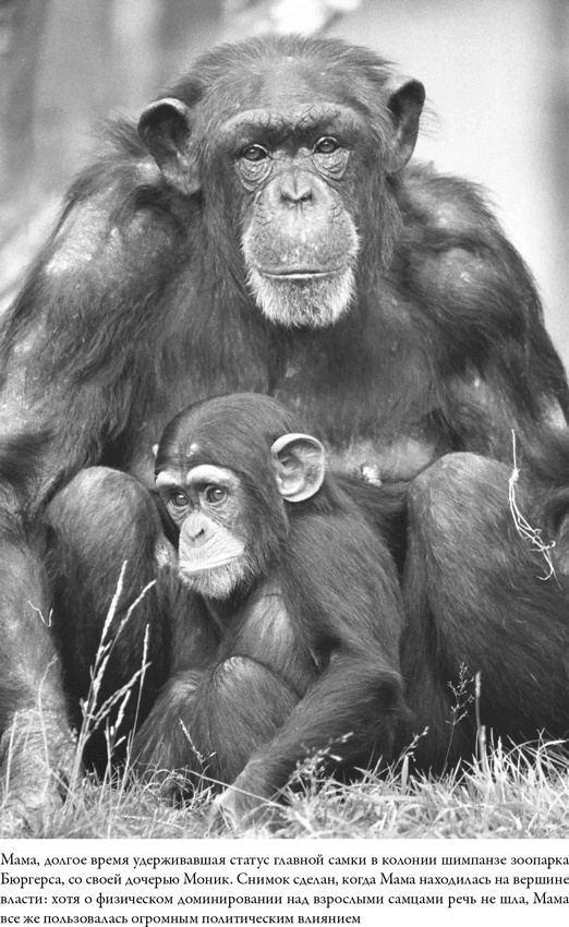 Иллюстрация к книге — Последнее объятие Мамы [i_027.jpg]