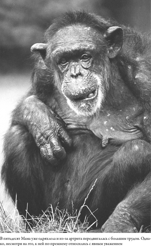 Иллюстрация к книге — Последнее объятие Мамы [i_028.jpg]