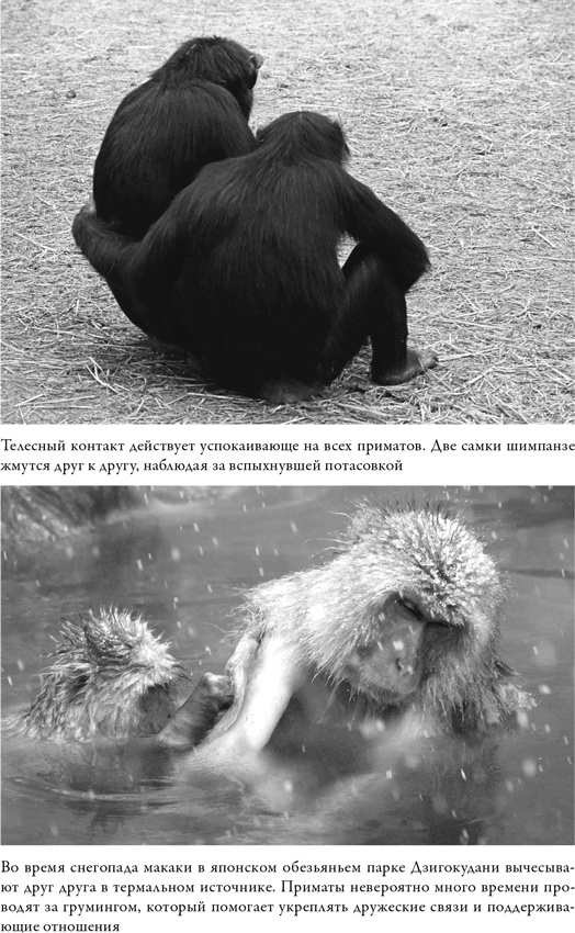 Иллюстрация к книге — Последнее объятие Мамы [i_031.jpg]