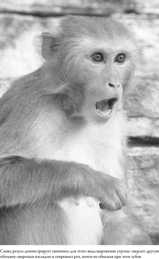 Иллюстрация к книге — Последнее объятие Мамы [i_032.jpg]