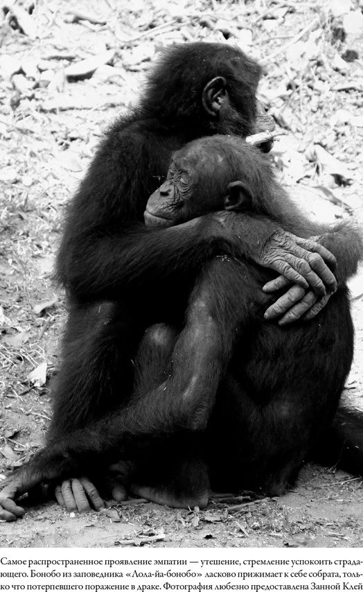 Иллюстрация к книге — Последнее объятие Мамы [i_035.jpg]