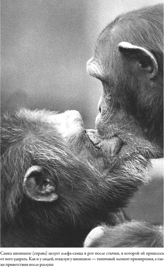 Иллюстрация к книге — Последнее объятие Мамы [i_036.jpg]