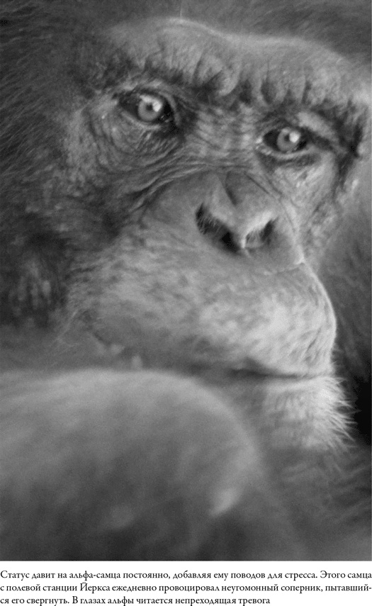 Иллюстрация к книге — Последнее объятие Мамы [i_040.jpg]