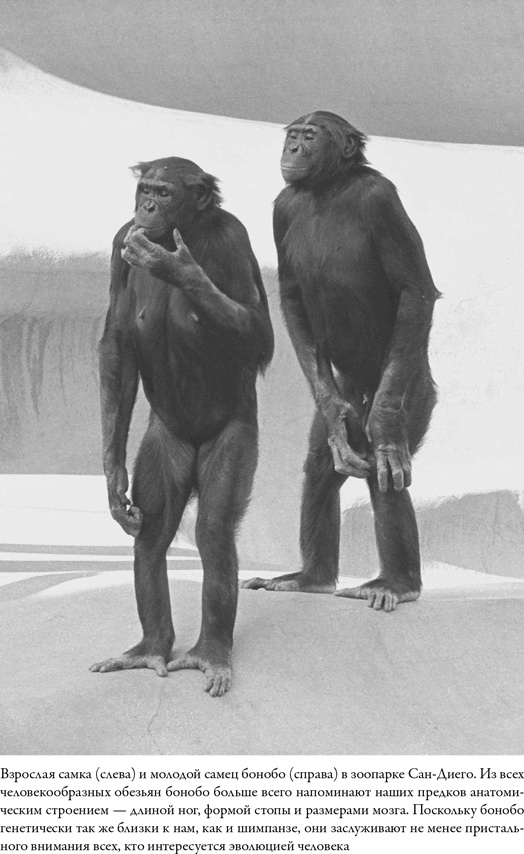 Иллюстрация к книге — Последнее объятие Мамы [i_042.jpg]