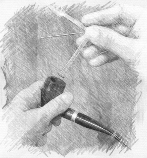 Иллюстрация к книге — Пропавшая пастораль [i_008.jpg]