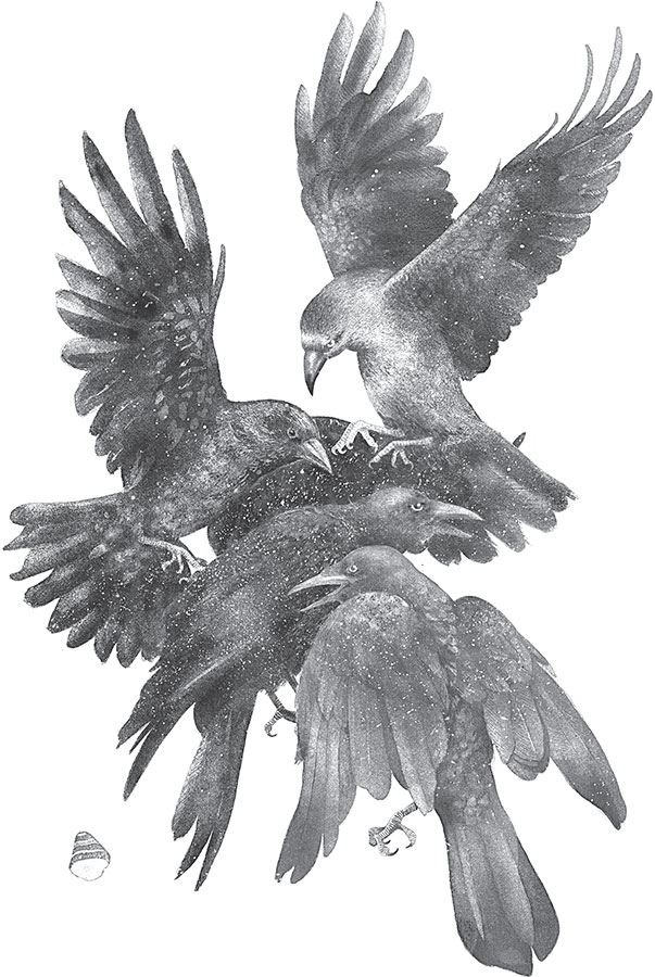 Иллюстрация к книге — Ка: Дарр Дубраули в руинах Имра [i_002.jpg]