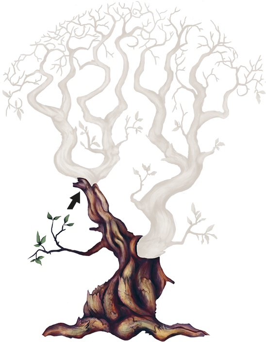 Иллюстрация к книге — Сулажин [i_007.jpg]